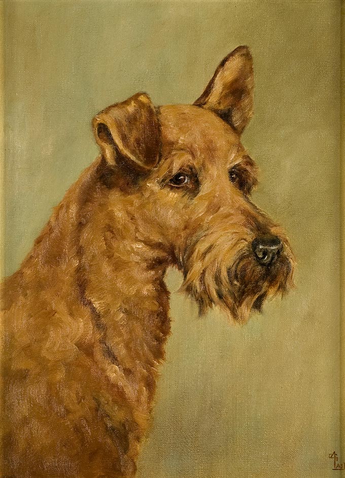 Pair of Irish Terrier Portraits