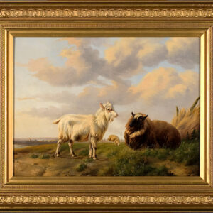 Billy Goat & Sheep on Panel