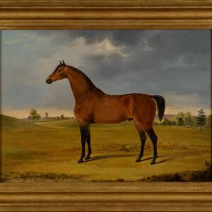 Horse Oil Painting By Gwynn