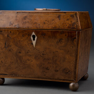 Burl Elmwood Tea Caddy