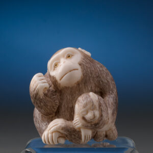Ivory Monkey