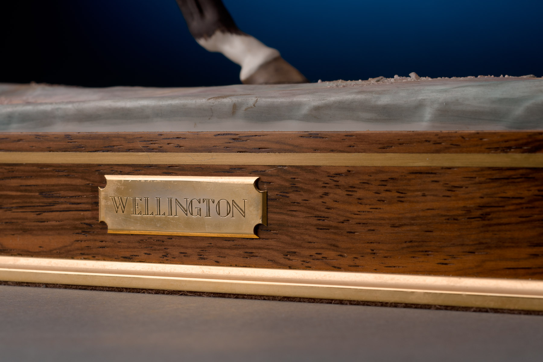 Duke of Wellington By Royal Worcester - Image 6