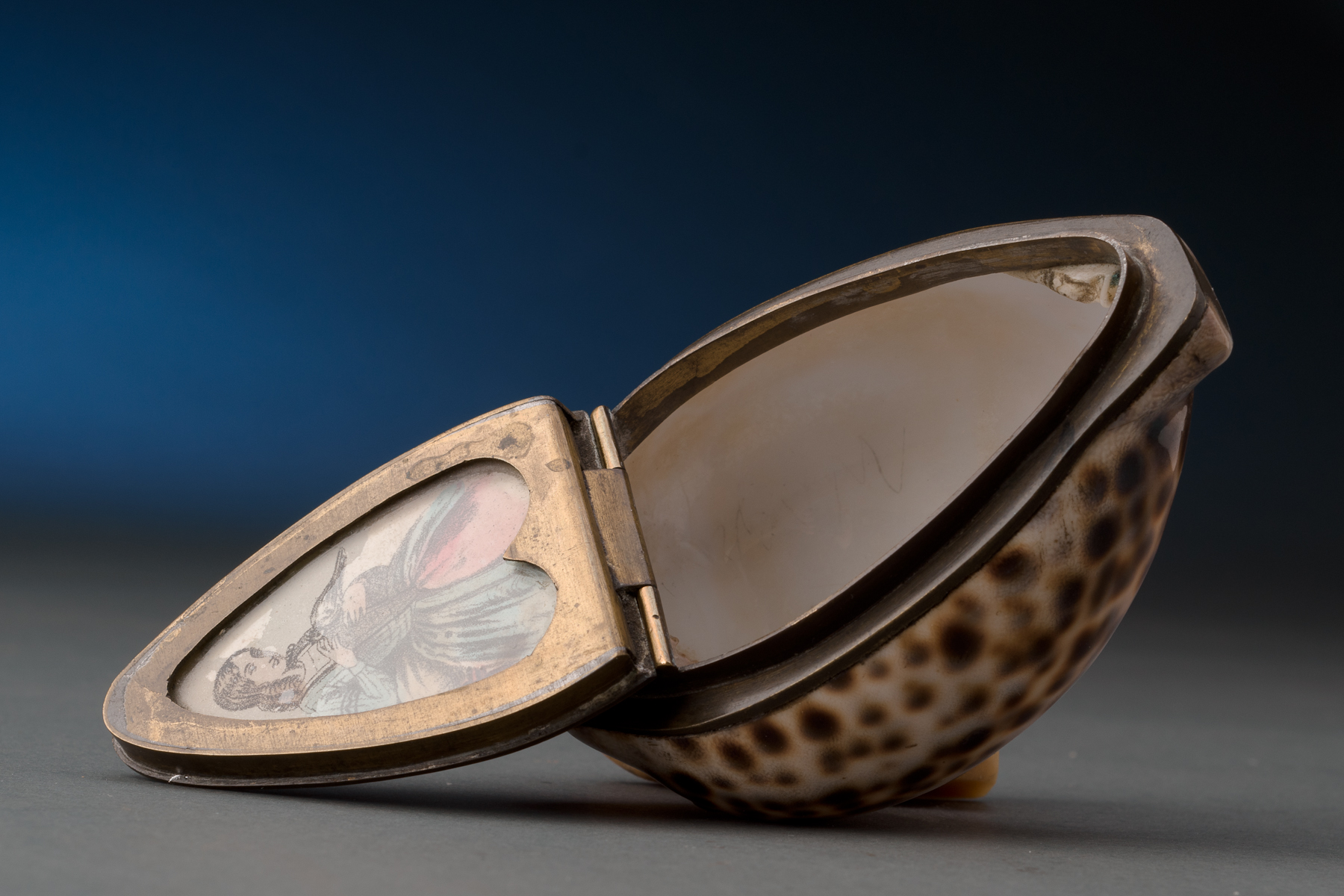 Cowrie Shell Box - Image 2