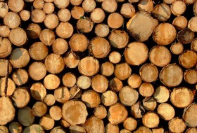 Various Wood Types