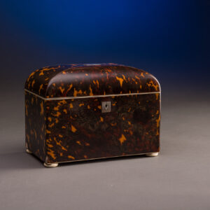 Tortoise and Ivory Tea Caddy